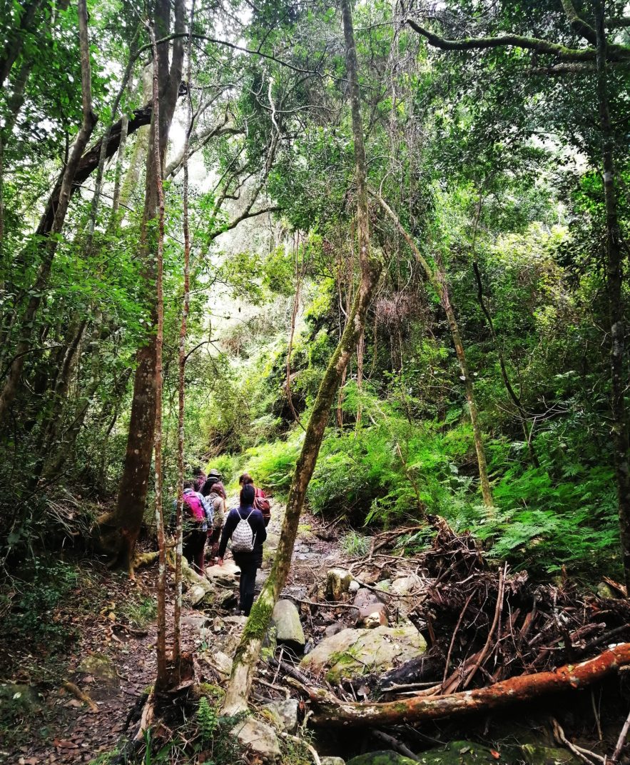 Rewilding Retreats Rewilding Retreats
